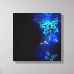 Toile Morpho Butterfly in the Dark Background