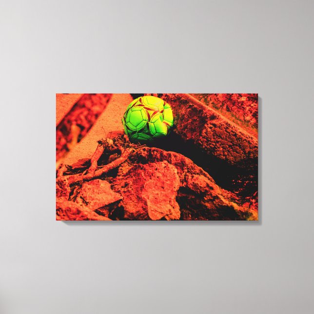 Toile mosquitus (Recto)