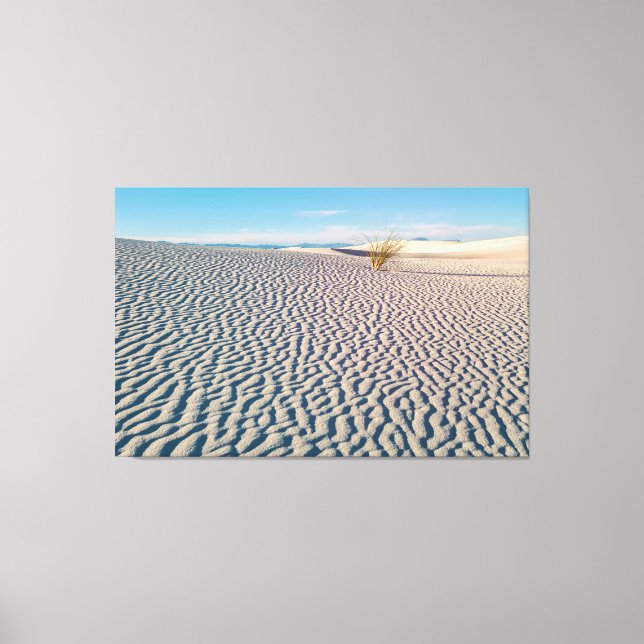Toile Motif White Sands (Recto)