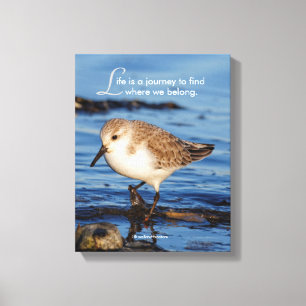 Toile Motivation "La vie est un voyage" Sanderling