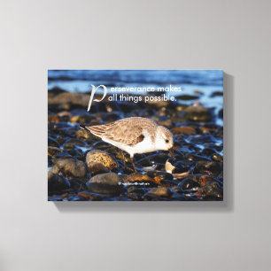 Toile Motivationnel "La persévérance fait..." Sanderling