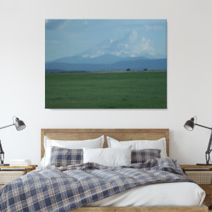 Toile Mount Shasta Mariée en fuite 2