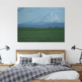 Toile Mount Shasta Mariée en fuite 2