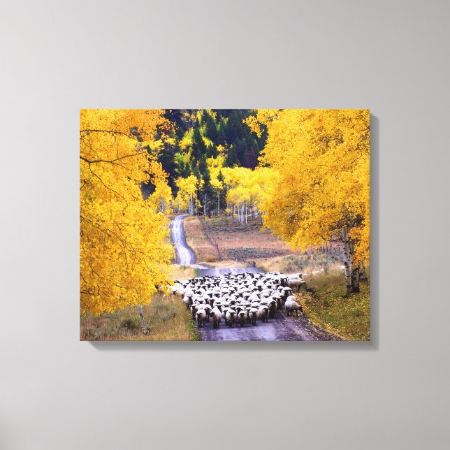 Toile Mouton sur Country Road (Recto)