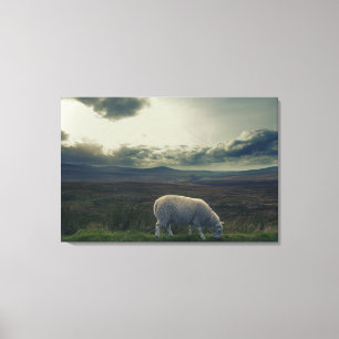 Toile Moutons