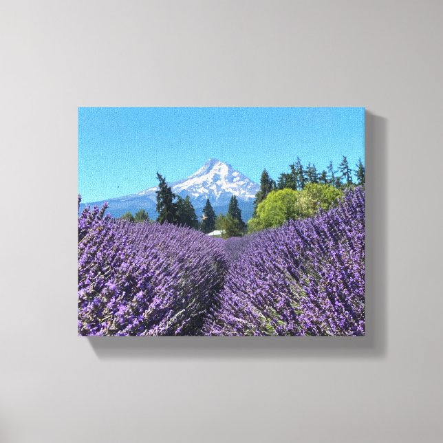 Toile Mt Hood Oregon (Recto)