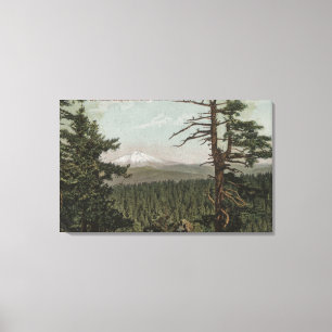 Toile Mt Hood, Oregon - Vue de la montagne depuis Distan