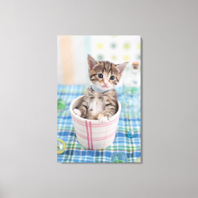 Toile Munchkin Kitten Avec Joli Ruban (Recto)