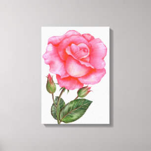 Toile Mur botanique Art rose Rose Floral Art Flower