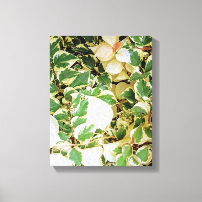 Toile Mur de jardin botanique (Recto)