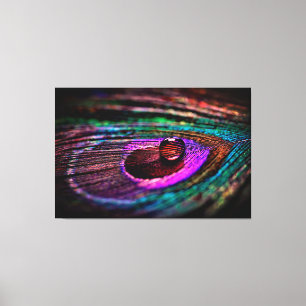 Toile Mur de luxe Macro Photographie Peacock Feather