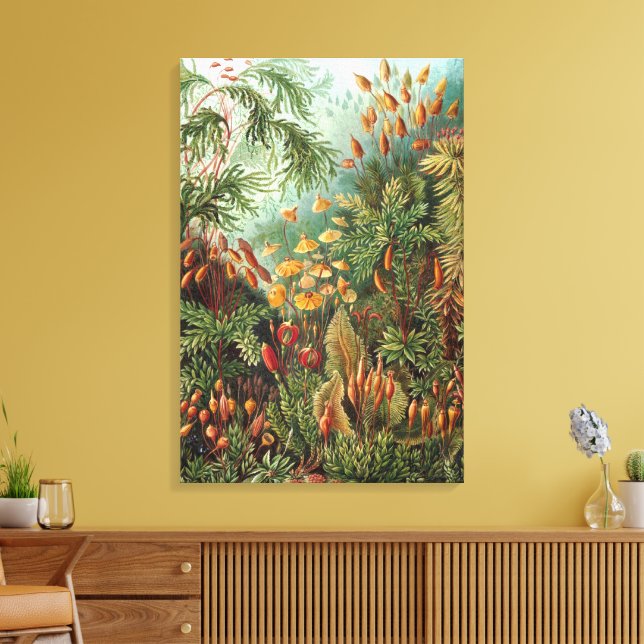 Toile Muscinae vintage, Plantes de la mousse par Ernst H (Insitu(Salon))