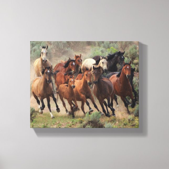Toile Mustangs sauvages (Recto)