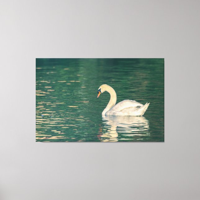Toile Mute Swan (Recto)