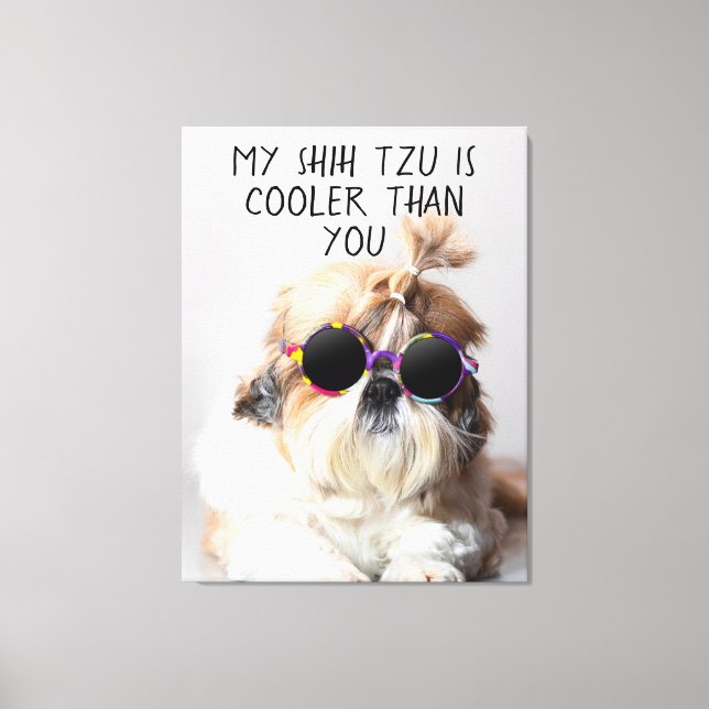 Toile My Shih Tzu Est Glacière Que Vous Les Lunettes De  (Recto)
