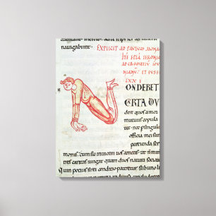 Toile 'N' initial historique