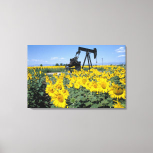 Toile Na, États-Unis, Colorado, Tournesols, Derrick de p