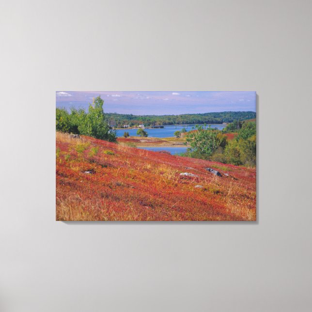 Toile NA, USA, Maine. Blueberry Barrens. (Recto)