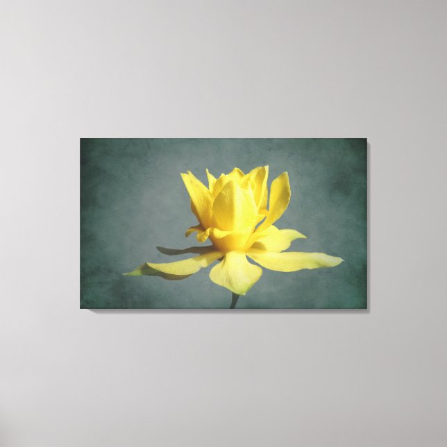 Toile Narcisse Ressort Jaune Imprimer (Recto)
