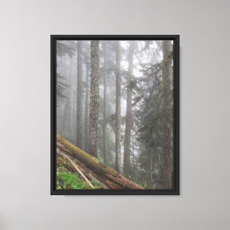 Toile Nature forestière