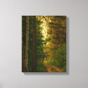 Toile Nature Forêt Village Rural Cabut Biélorussie