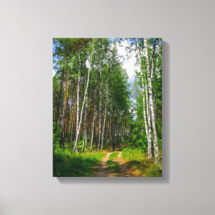 Toile Nature Paysage Paysage Paysage Forêt Birch Biéloru