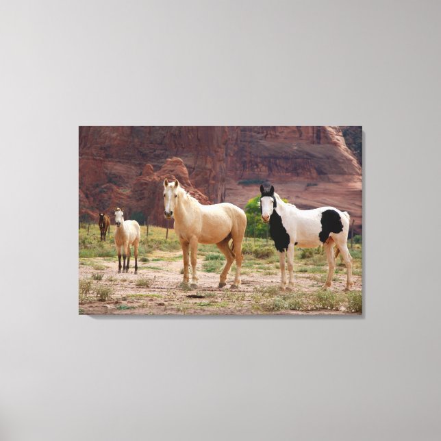 Toile Navajo Horses Run Free sur le Canyon Floor (Recto)