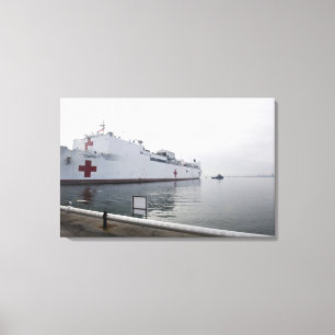 Toile Navire hospitalier du Commandement maritime milita