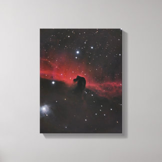 Toile Nebula à tête de cheval #3