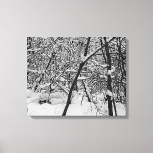 Toile Neige sur la photo noire et blanche d'arbres sur