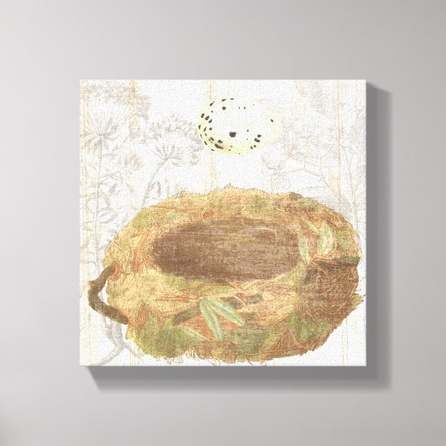 Toile Nez avec un oeuf moucheté (Recto)