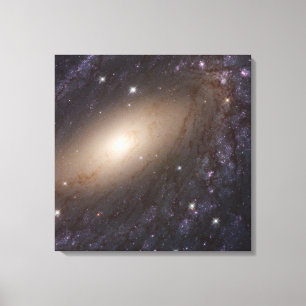 Toile Ngc 6744, 30 Millions D'Années-Lumières.