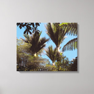 Toile Nikau Palms Growing dans les gammes de Waitakere