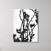 Noir Blanc Printemps Amandiers Floral Art Graphism