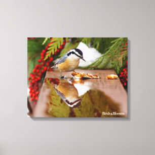 Toile Nuthatch à poitrine rouge