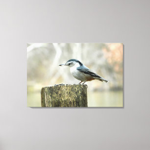 Toile Nuthatch avec Graine de tournesol Nature Imprimer