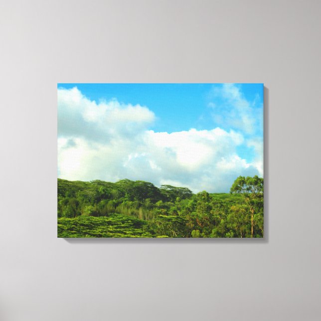 TOILE OAHU HAWAII #23 CANVAS (Recto)