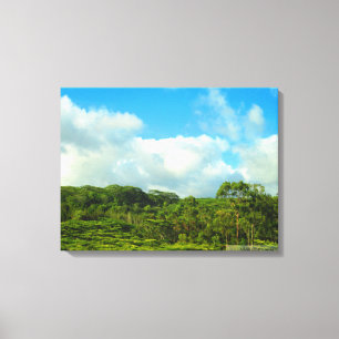 TOILE OAHU HAWAII #23 CANVAS