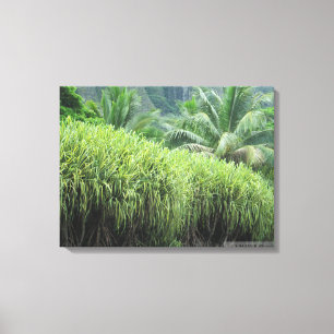 TOILE OAHU HAWAII #2 CANVAS