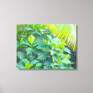 TOILE OAHU HAWAII #5 CANVAS