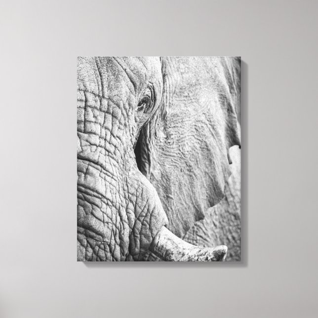 Toile Oeil éléphant (Recto)