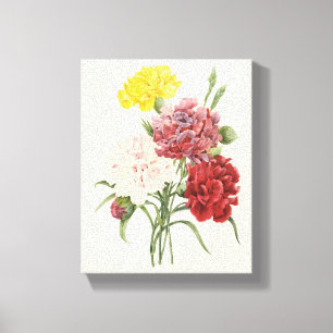 Toile Œillets anciens Dianthus Fleurs de jardin Redoute