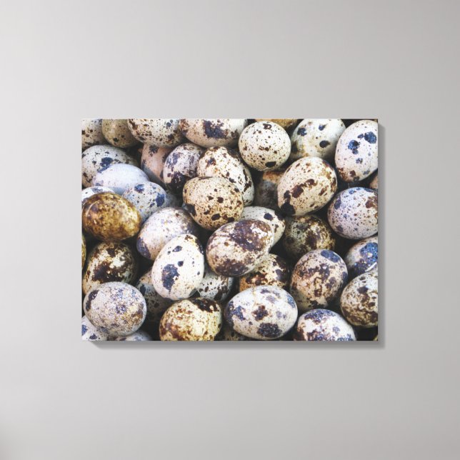Toile Oeufs de caille (Recto)