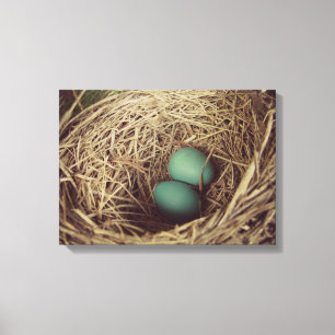 Toile Oeufs de Robins dans le nid