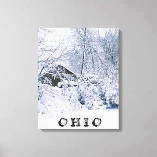 TOILE OHIO EN HIVER 2020