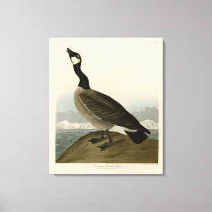 Toile Oie en caquette des oiseaux d'Amérique d'Audubon