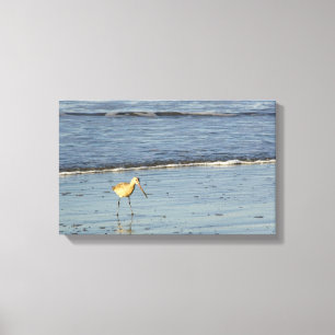 Toile Oiseau de mer 4