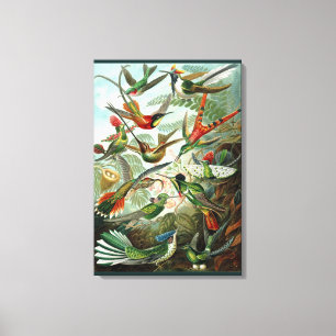 Toile Oiseau de mer d'art - Les formes d'art de la natur