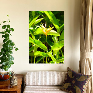 Toile Oiseau de Paradis