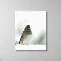 Oiseau d'hiver